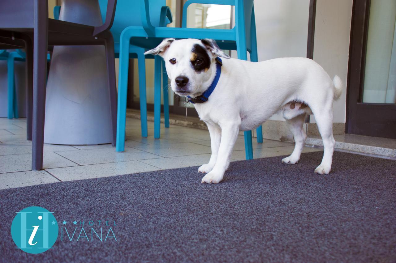 לידו די ג'סולו Hotel Ivana מראה חיצוני תמונה